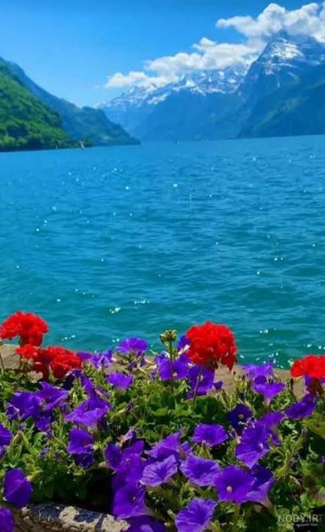  والپیپر طبیعت زیبا انگستان