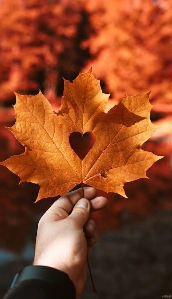  بک گراند پاییزی دخترانه