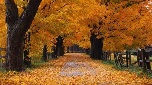  عکس پاییز واقعی دخترانه