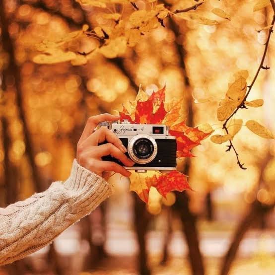  عکس دختر پاییزی برای پروفایل