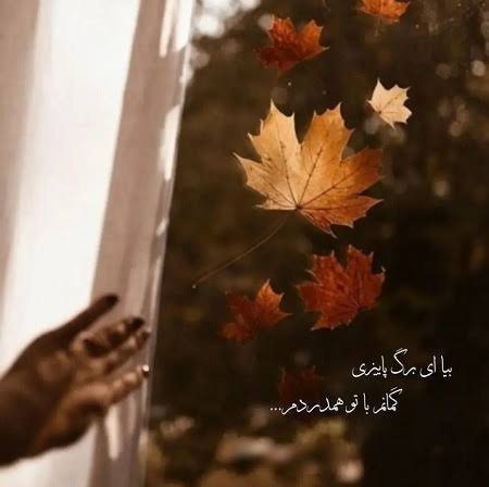  عکس دختر پاییزی برای پروفایل