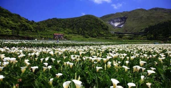 عکس جاهای دیدنی تایوان