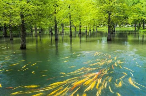 عکس جاهای دیدنی تایوان