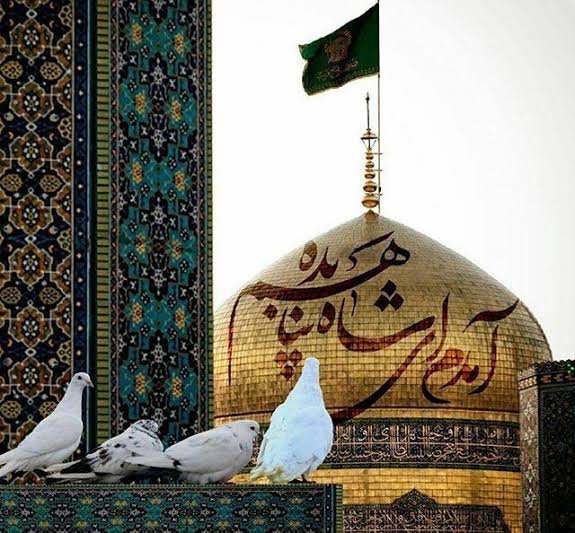  عکس حرم امام رضا برای پروفایل