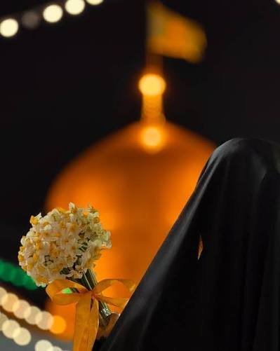  عکس حرم امام رضا برای پروفایل