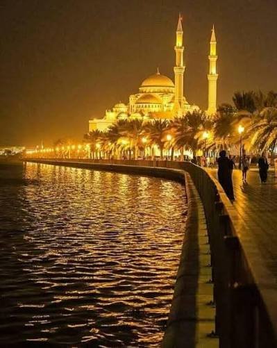  عکس استانبول ترکیه در شب