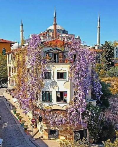  زیباترین تصاویر ترکیه