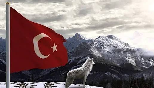 عکس پرچم ترکیه با گرگ