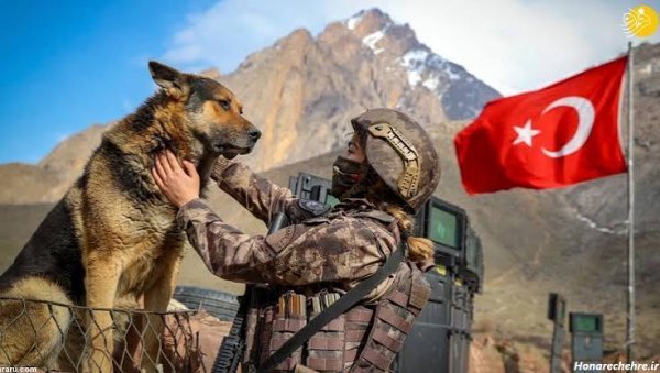  عکس پرچم ترکیه با گرگ