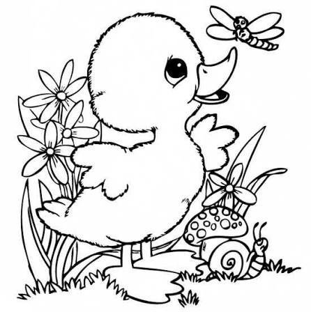  نقاشی کودکانه حیوانات