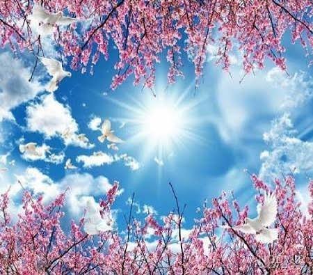  عکس زیبا از آسمان آبی برای تصویر زمینه کامپیوتر