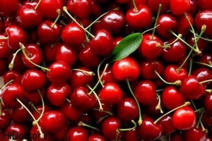 عکس پس زمینه میوه آلبالو