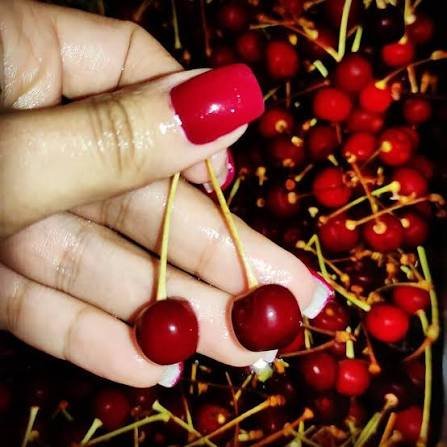  عکس پس زمینه میوه آلبالو