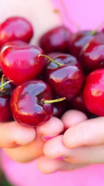  عکس پس زمینه میوه آلبالو