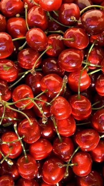  عکس پس زمینه میوه آلبالو