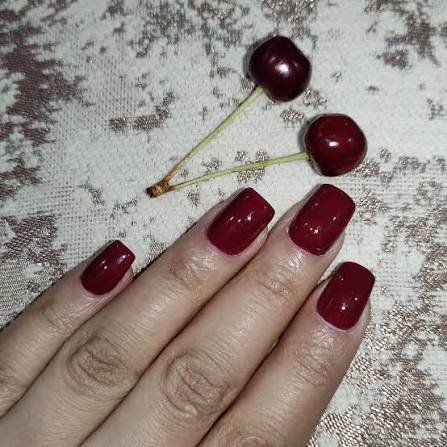 عکس آلبالو برای تصویر زمینه