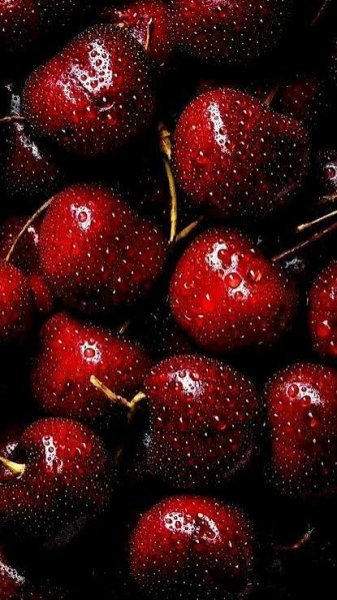  عکس آلبالو برای تصویر زمینه