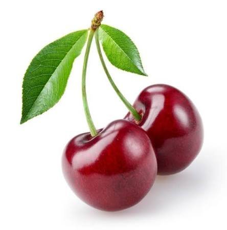  عکس آلبالو برای تصویر زمینه