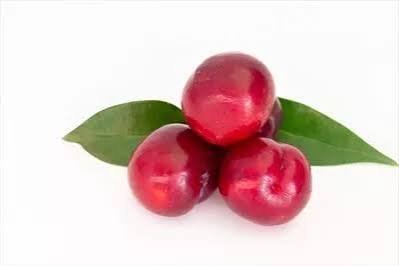  عکس آلبالو برای تصویر زمینه