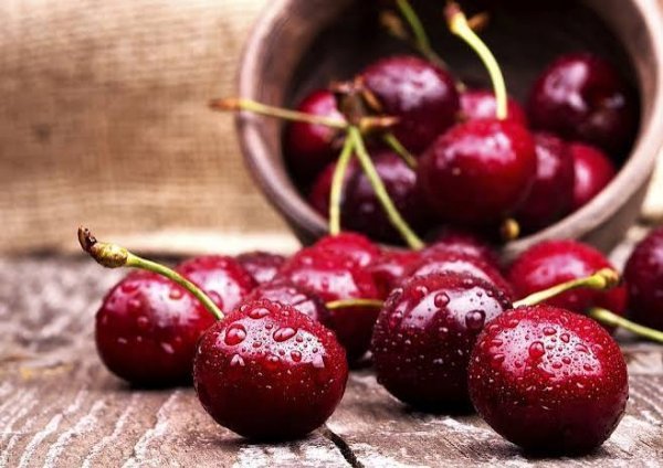  عکس زمینه آلبالو های آویزان شده از شاخه درخت