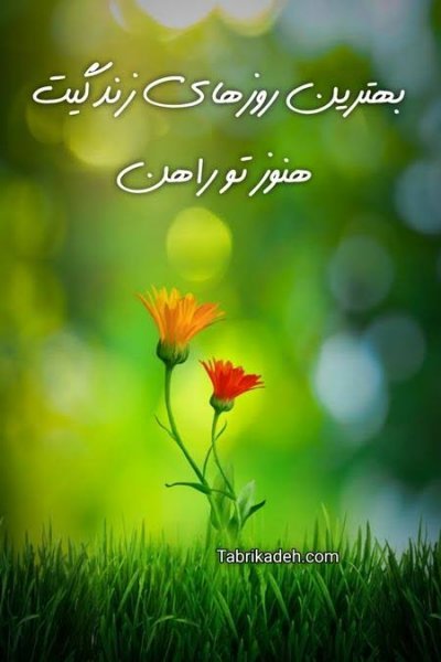  عکس نوشته موفقیت و پیروزی