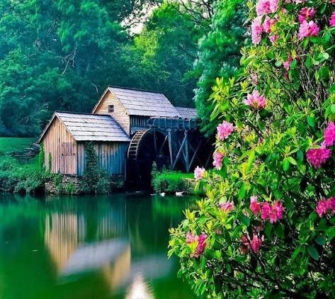 دانلود تصویر زمینه سه بعدی طبیعت فانتزی