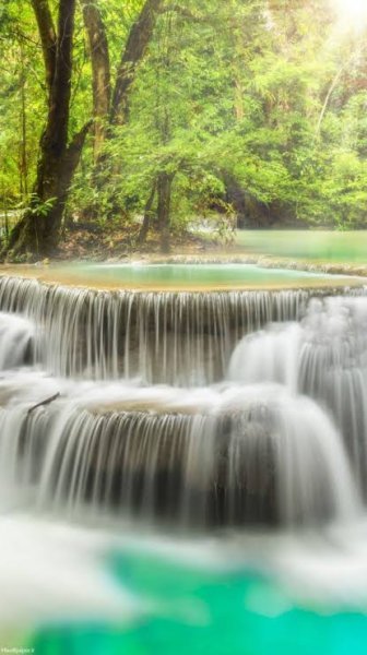  دانلود تصویر زمینه سه بعدی طبیعت فانتزی