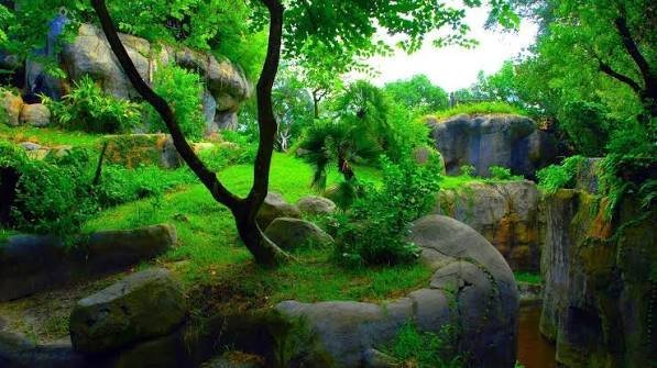  دانلود تصویر زمینه سه بعدی طبیعت فانتزی