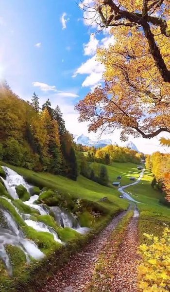  دانلود تصویر زمینه سه بعدی طبیعت فانتزی