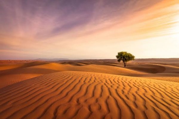  عکس تصویر زمینه بیابان برای کامپیوتر و لپتاپ