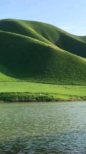  عکس صحرا سرسبز