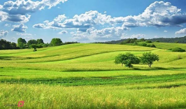  عکس صحرا سرسبز
