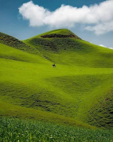  عکس صحرا سرسبز