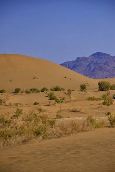  عکس بیابان واقعی