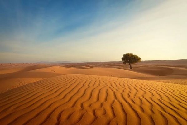  عکس بیابان واقعی
