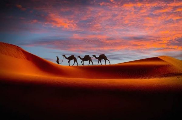  عکس صحرا با کیفیت بالا برای تصویر زمینه