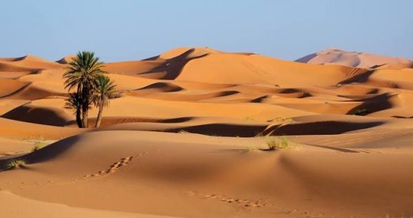  عکس صحرا با کیفیت بالا برای تصویر زمینه