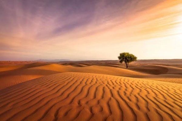  عکس صحرا با کیفیت بالا برای تصویر زمینه