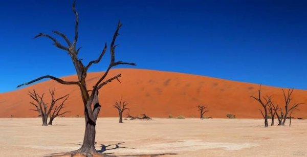  عکس صحرا با کیفیت بالا برای تصویر زمینه