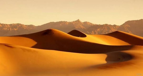  عکس صحرا با کیفیت بالا برای تصویر زمینه