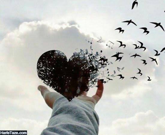  عکس قلب سیاه شکسته برای پروفایل