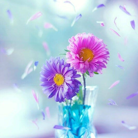  عکس گل صورتی فانتزی برای پروفایل