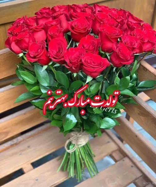  دانلود عکس دسته گل زیبا برای تبریک جشن تولد یا عروسی