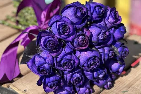  عکس پروفایل دسته گل بنفش زیبا