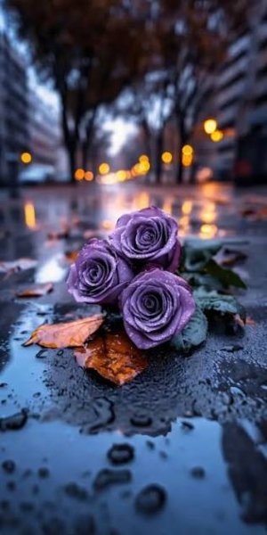  عکس پروفایل دسته گل بنفش زیبا
