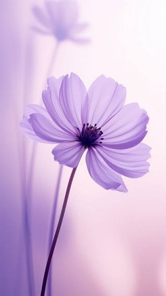  عکس پروفایل دسته گل بنفش زیبا