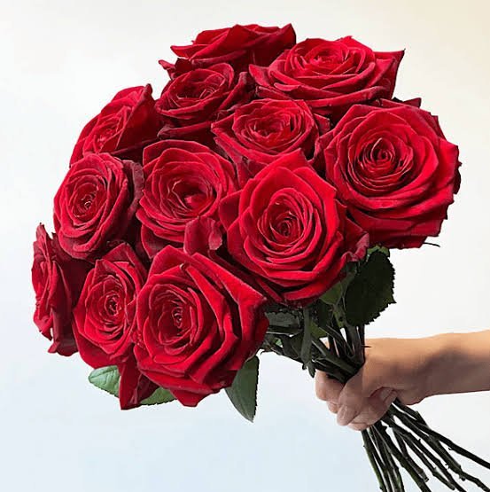 والپیپر دسته گل رز قرمز عاشقانه با کیفیت عالی