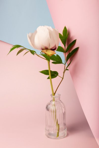  عکس پروفایل دسته گل لاکچری