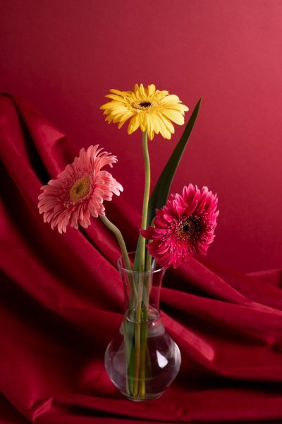  عکس پروفایل دسته گل لاکچری