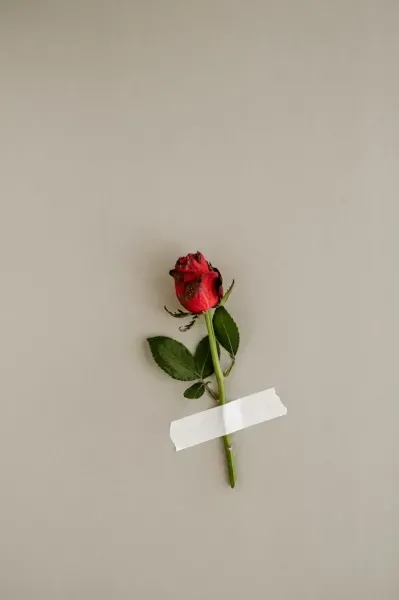  عکس پروفایل دسته گل لاکچری